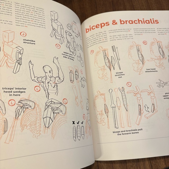 Donate Soon! Anatomy for Artists: Drawing Form & Pose - Picture 3 of 5